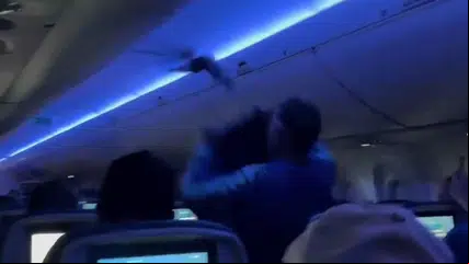Pegue o Pombo: Pombos invadem avião da Delta e causam atraso em voo nos Estados Unidos